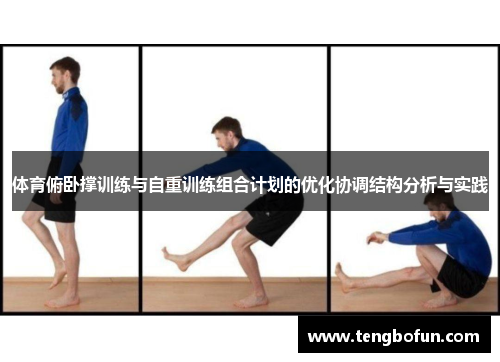 体育俯卧撑训练与自重训练组合计划的优化协调结构分析与实践