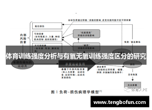 体育训练强度分析与有氧无氧训练强度区分的研究