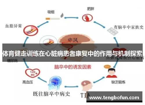 体育健走训练在心脏病患者康复中的作用与机制探索