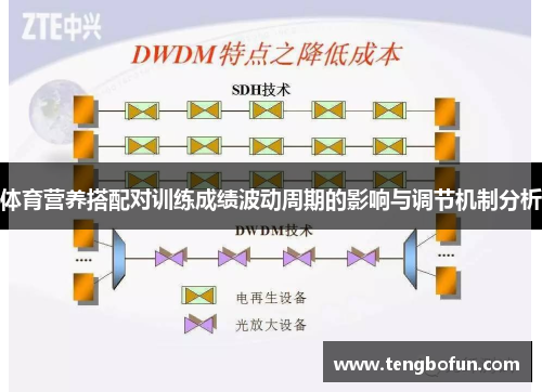 体育营养搭配对训练成绩波动周期的影响与调节机制分析